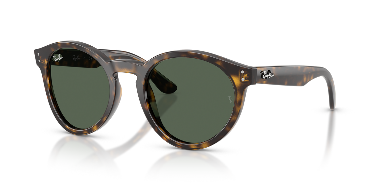 Ray-Ban 0RBR0505S