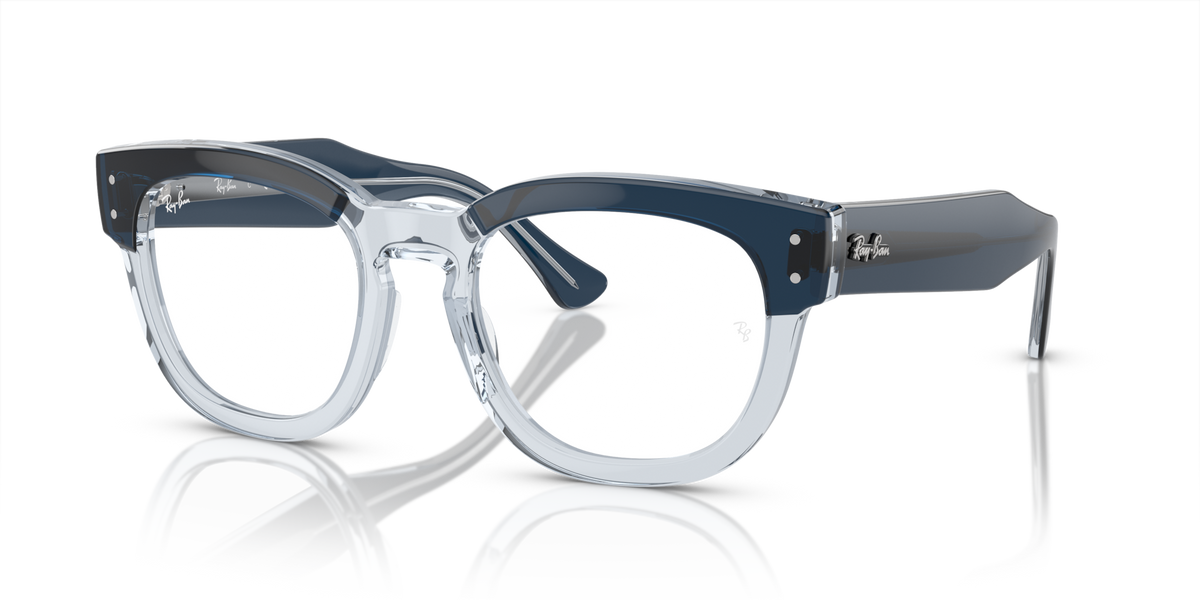 Ray-Ban RX0298V Mega hawkeye