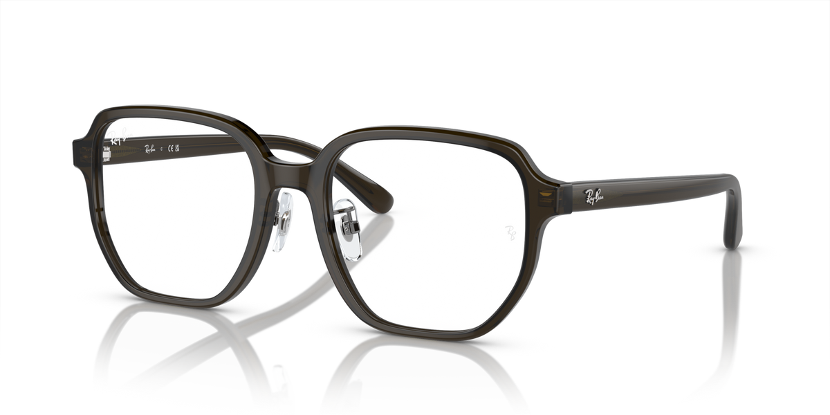 Ray-Ban RX5424D