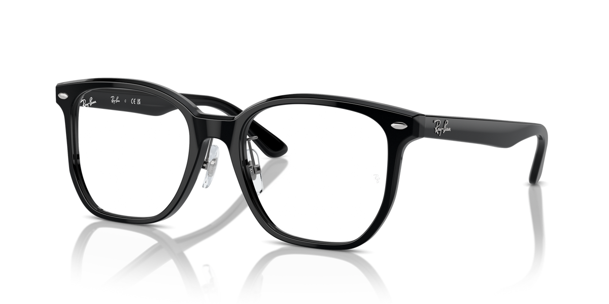 Ray-Ban RX5425D