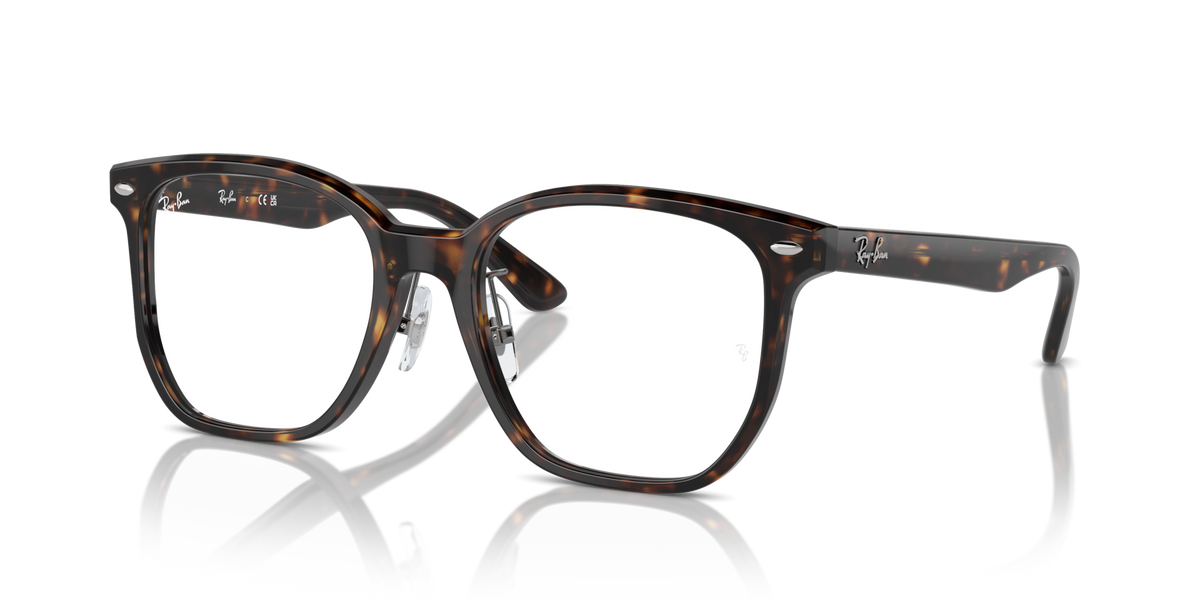 Ray-Ban RX5425D