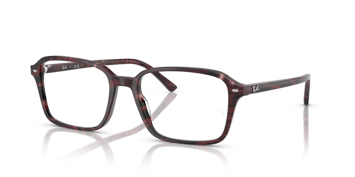 Ray-Ban RX5431 Raimond