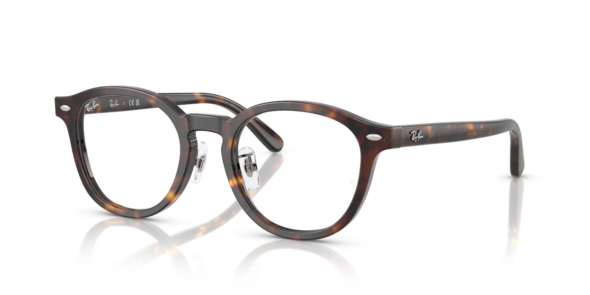 Ray-Ban RX5443D