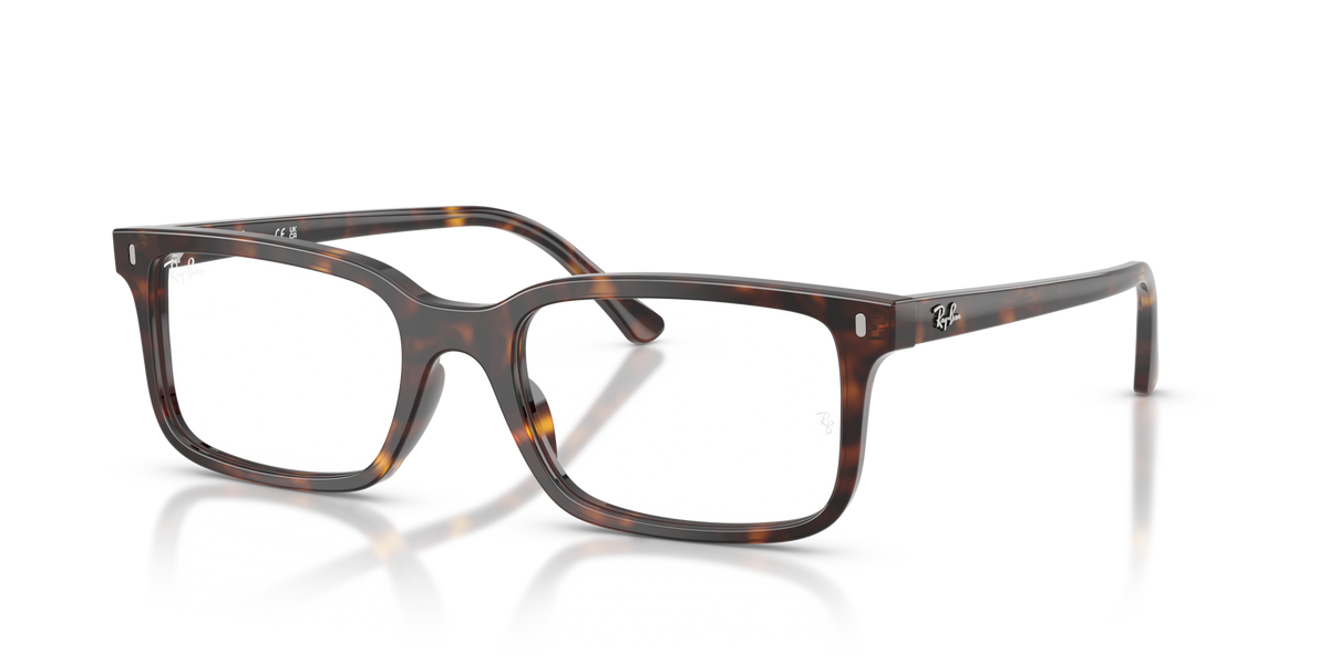 Ray-Ban RX5445