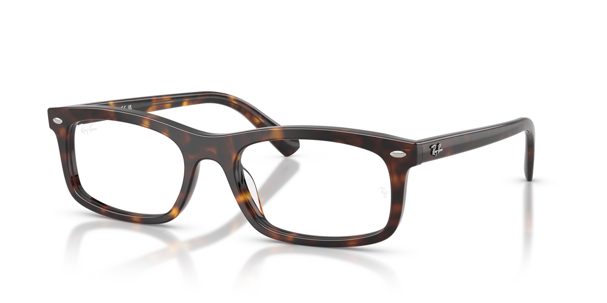 Ray-Ban RX5450
