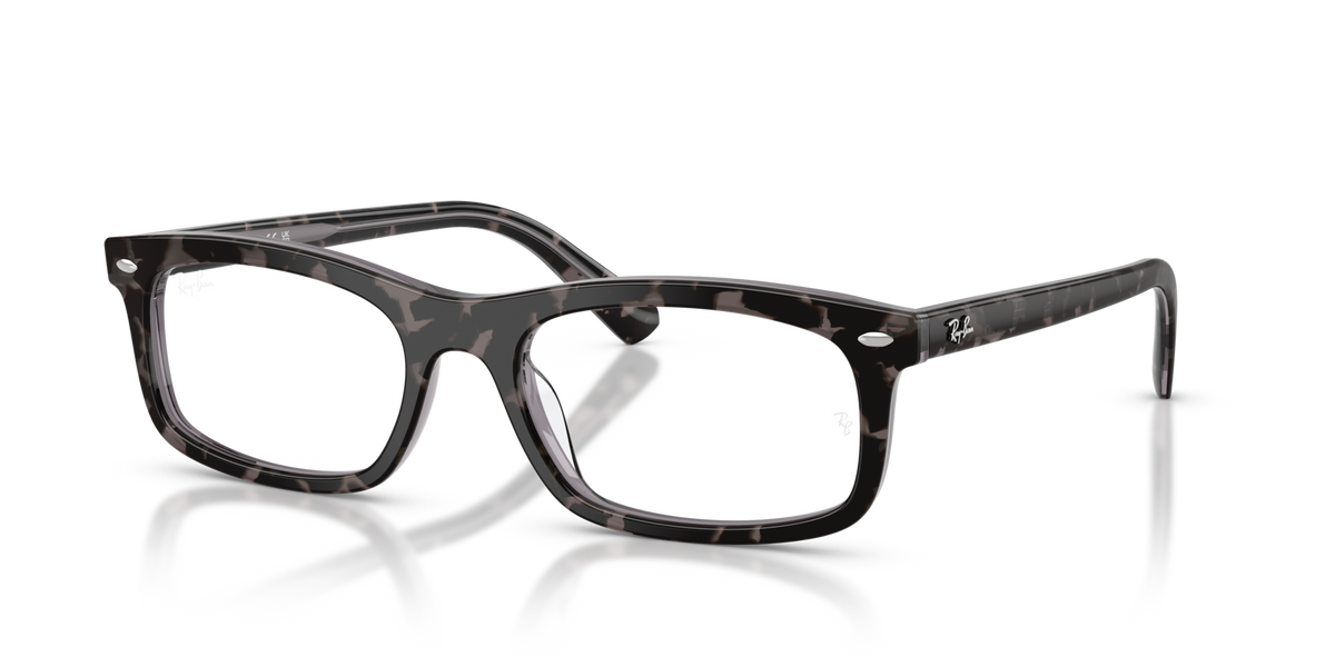 Ray-Ban RX5450