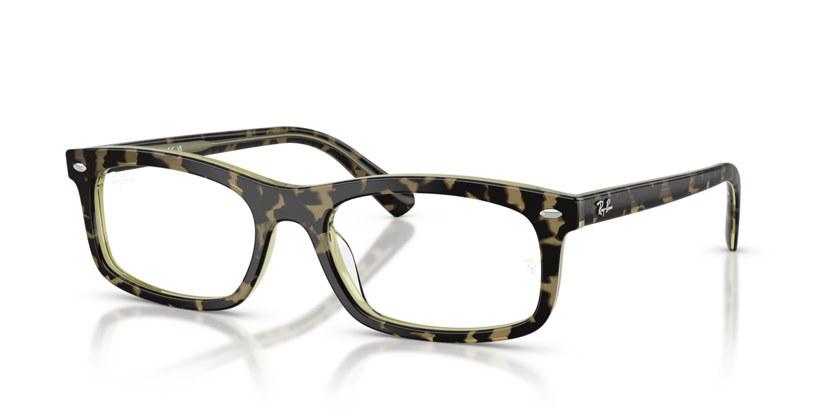 Ray-Ban RX5450