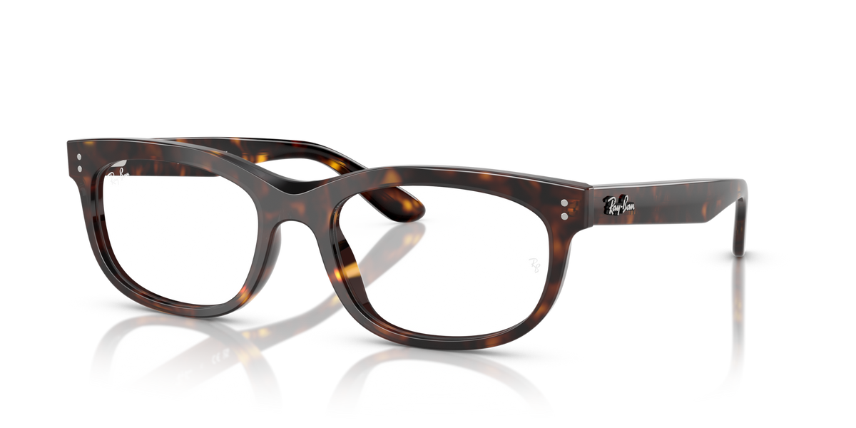 Ray-Ban RX5489 Balorette