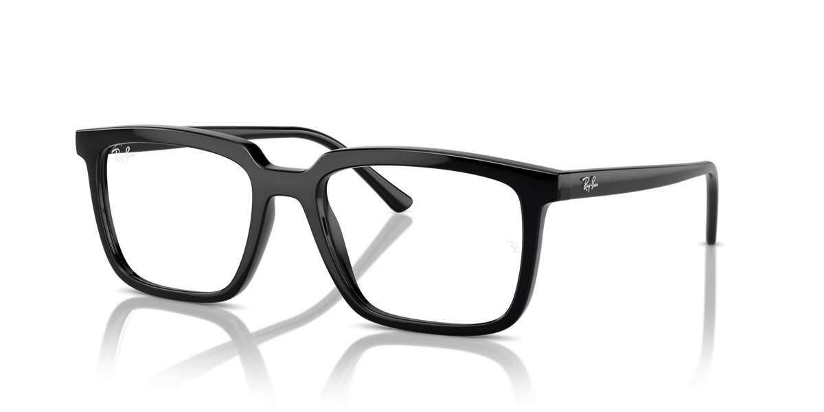 Ray-Ban RX7239 Alain
