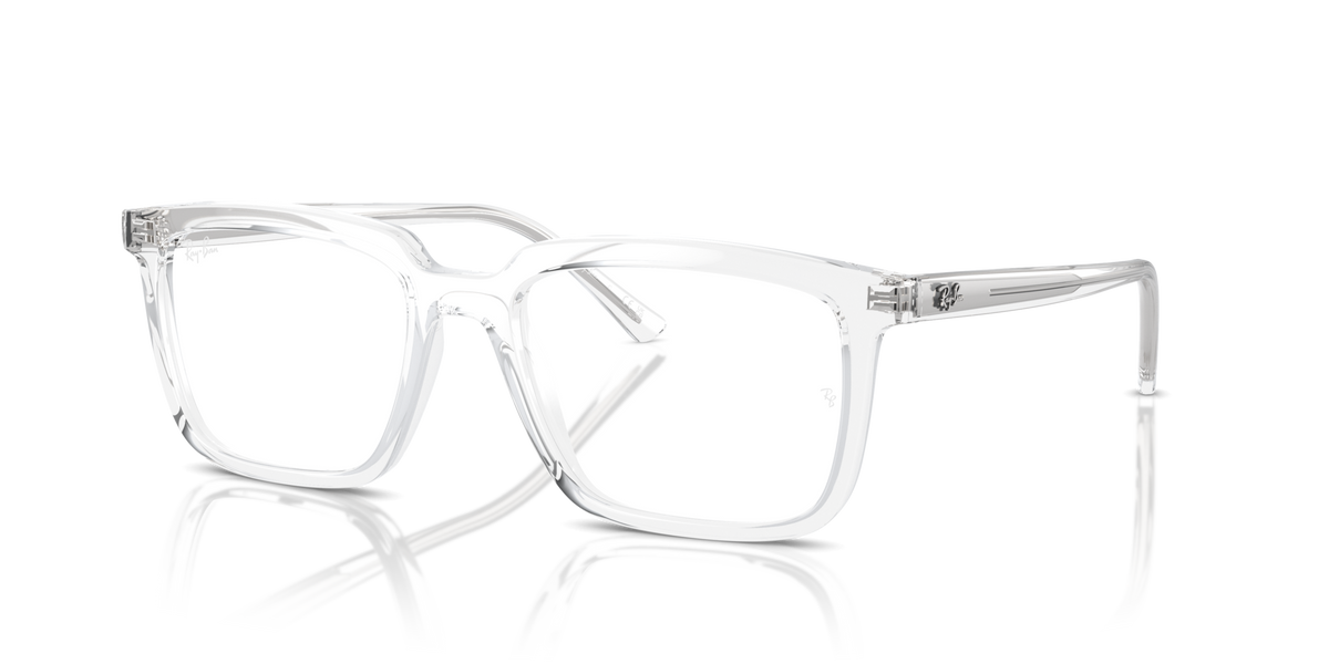 Ray-Ban RX7239 Alain
