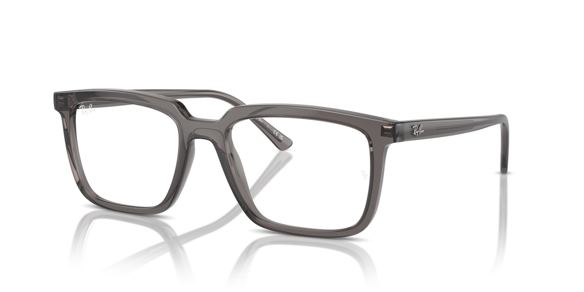 Ray-Ban RX7239 Alain