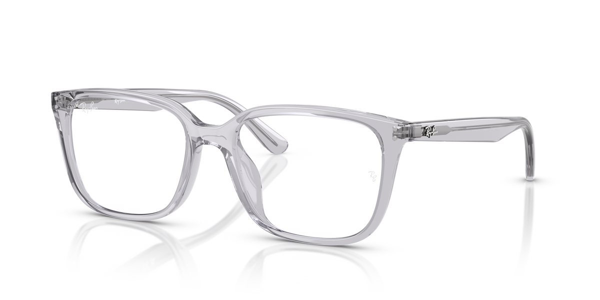 Ray-Ban RX7248D