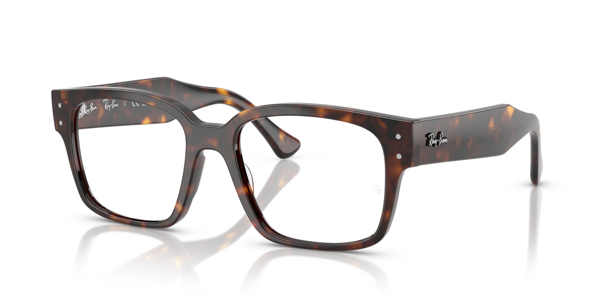 Ray-Ban RX7256 Laurene