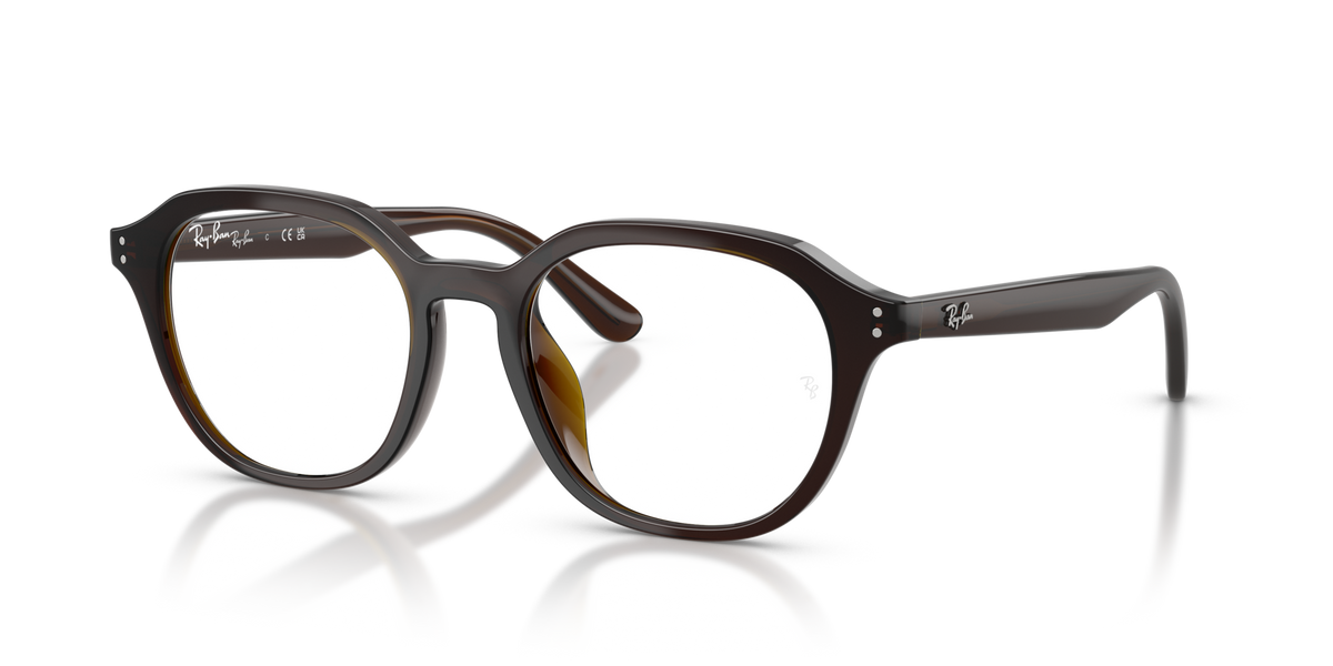 Ray-Ban RX7259D