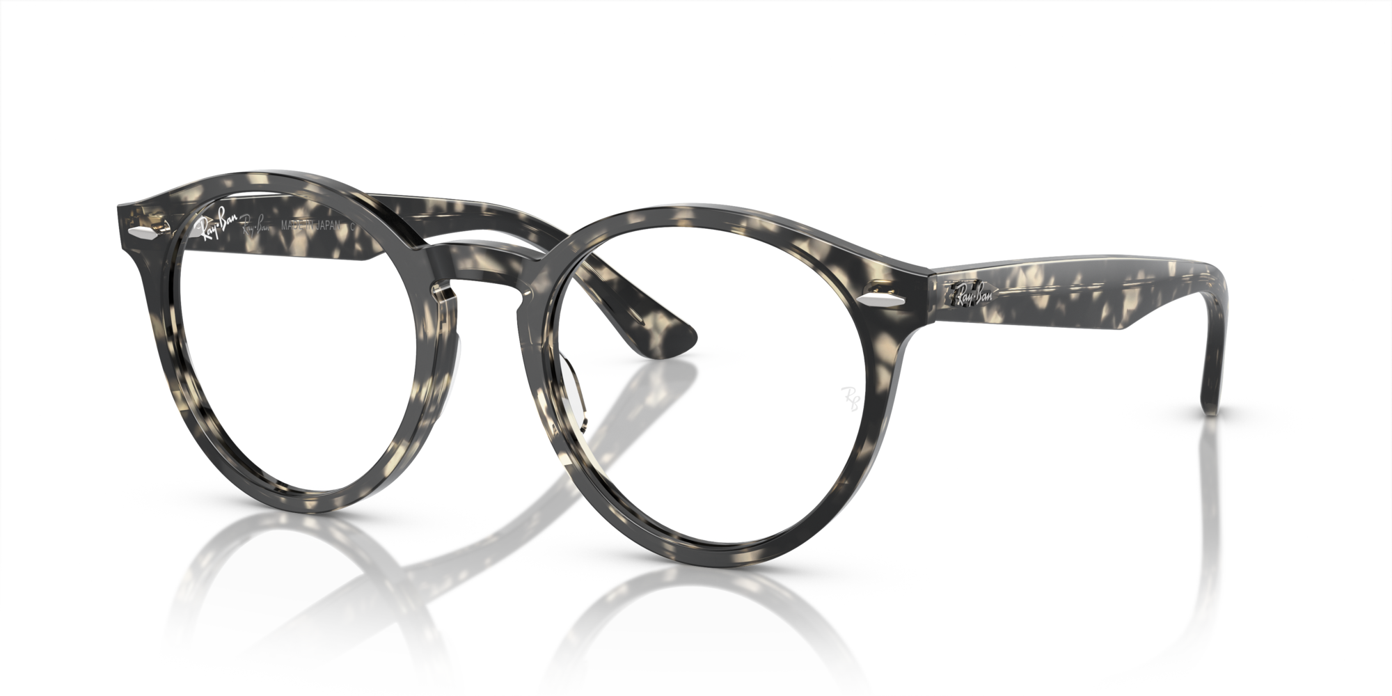 Ray-Ban RX7680V Larry