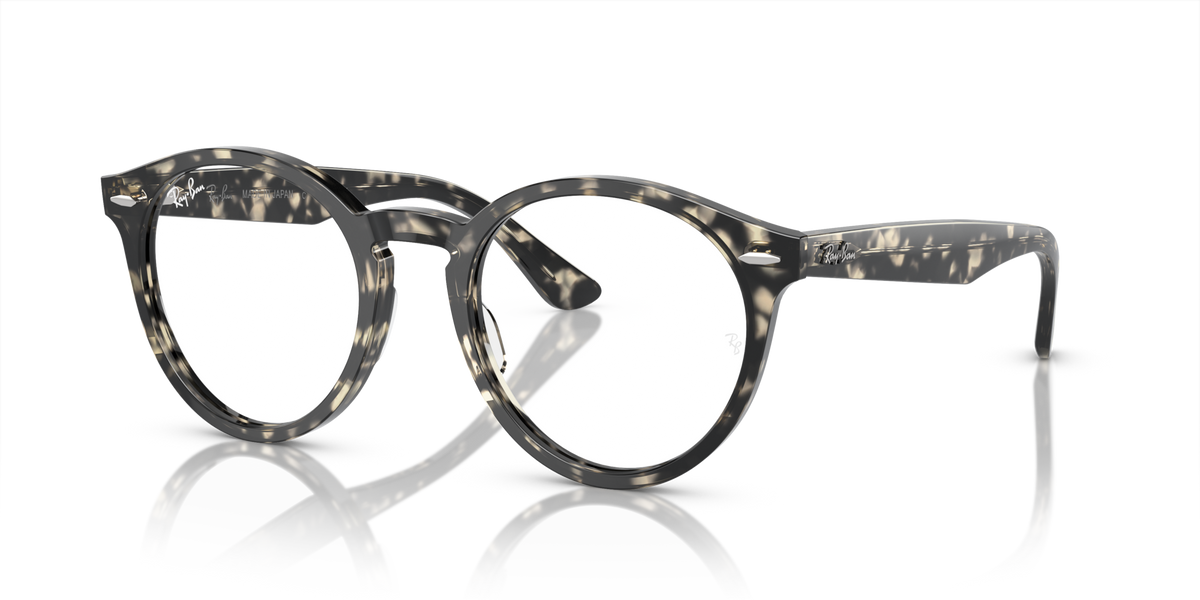 Ray-Ban RX7680V Larry
