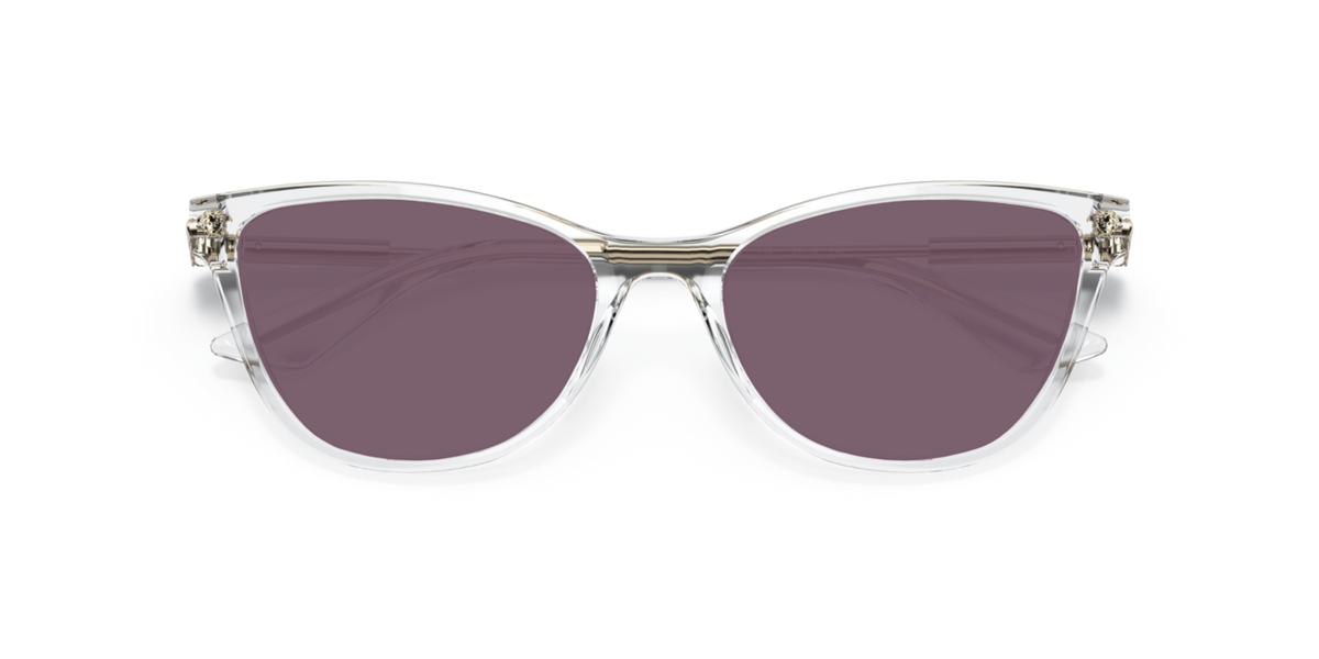 Versace VE3309