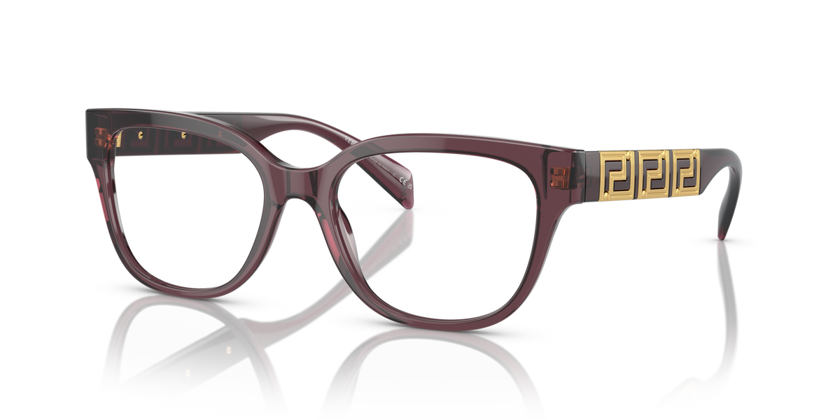 Versace VE3338