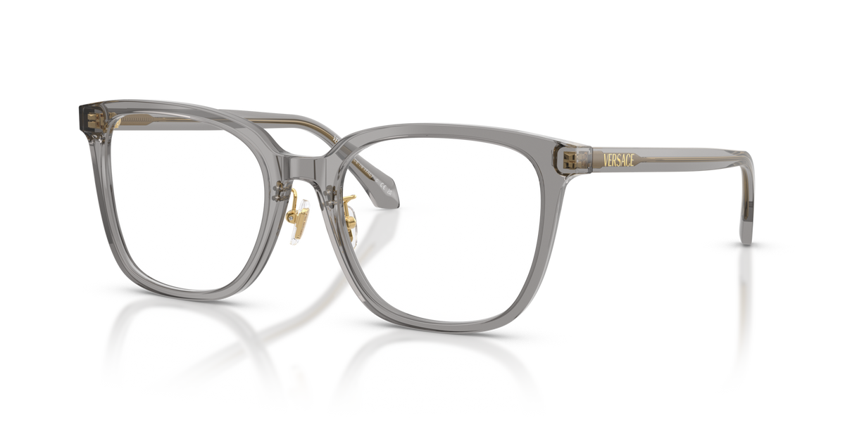 Versace VE3378D