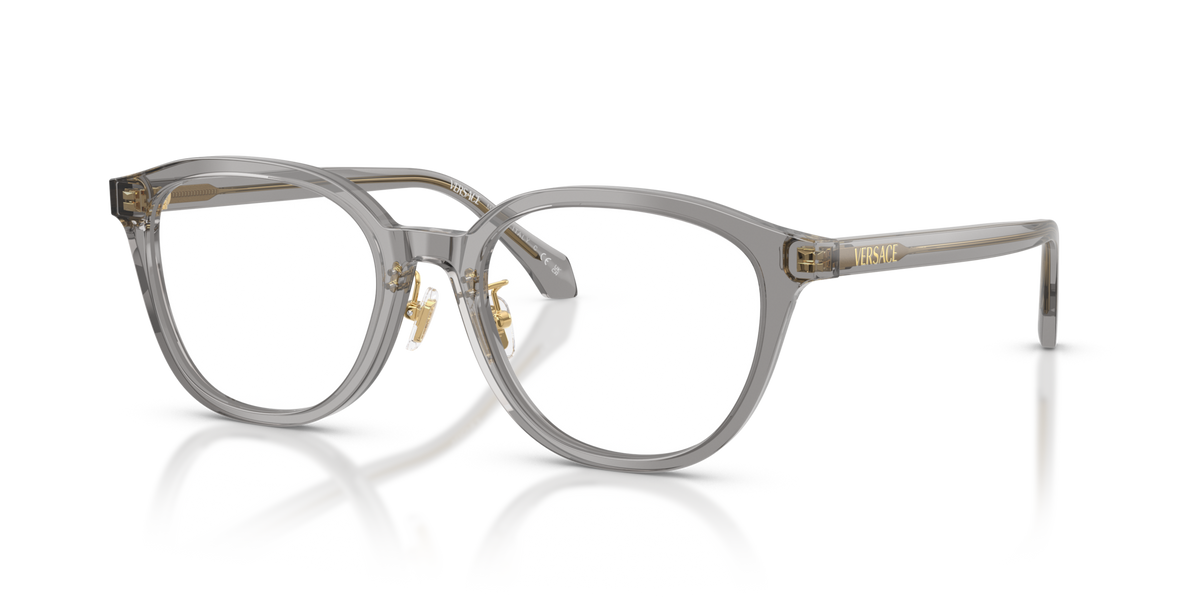 Versace VE3379D