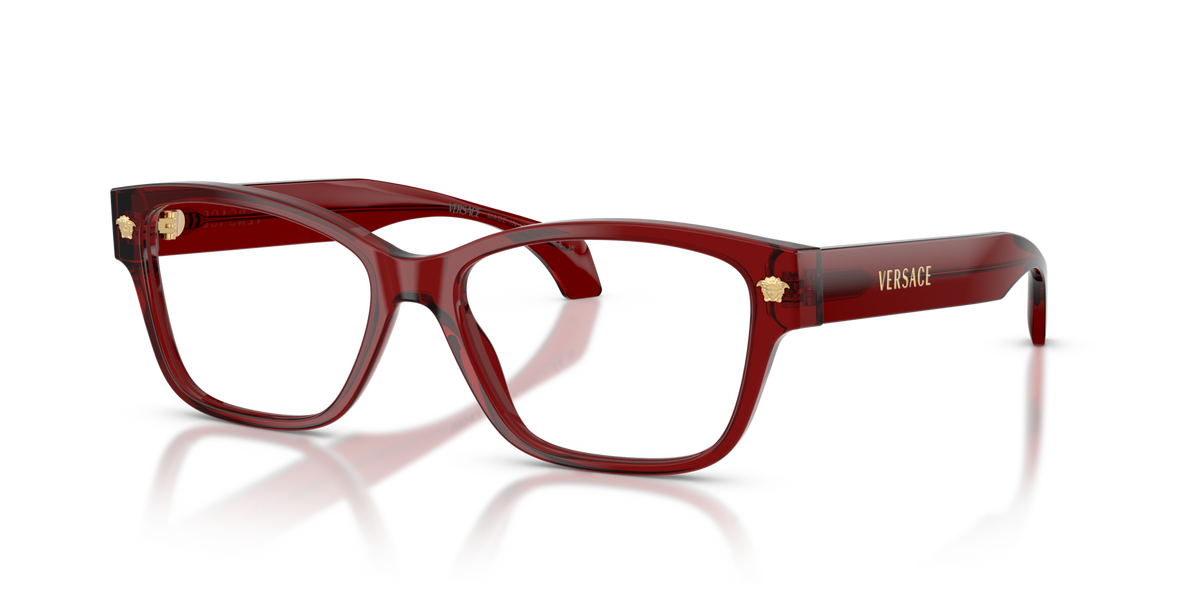 Versace VE3392
