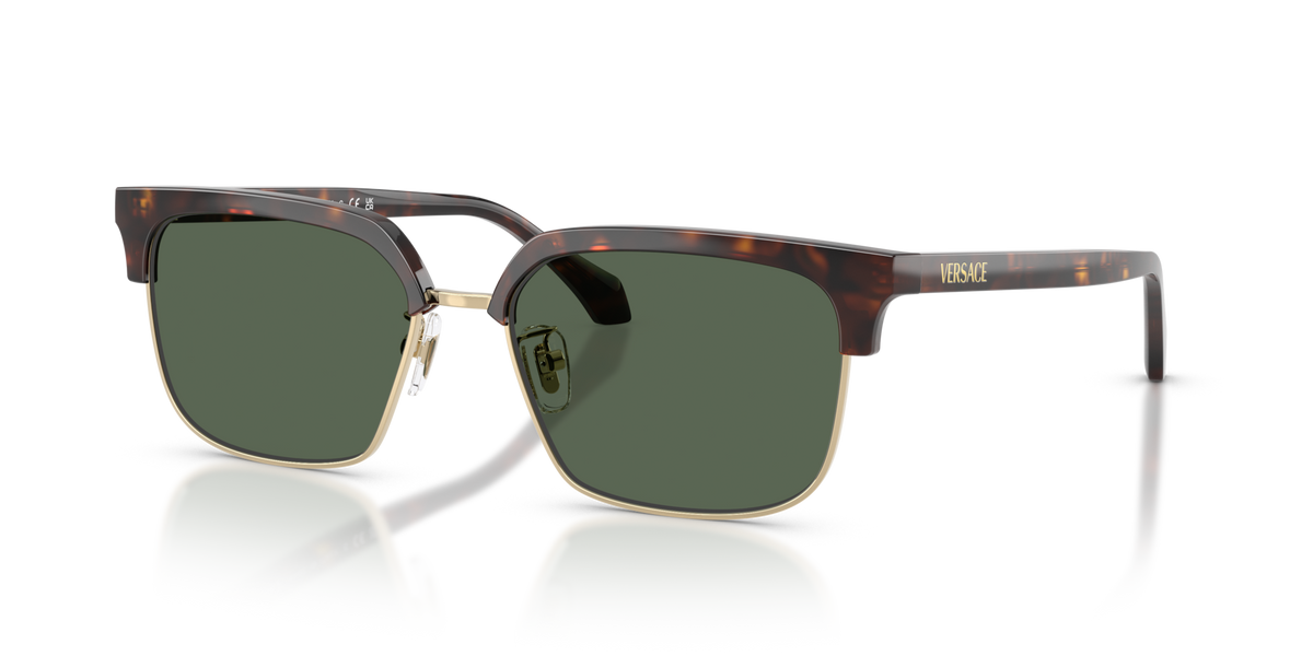 Versace VE4494D