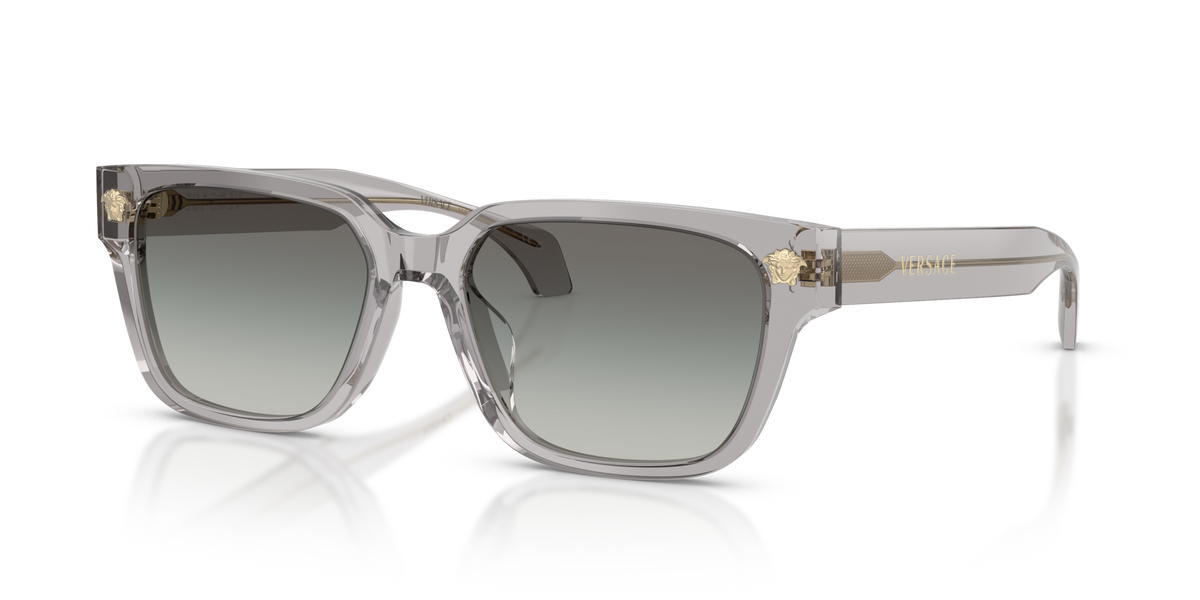 Versace VE4513D