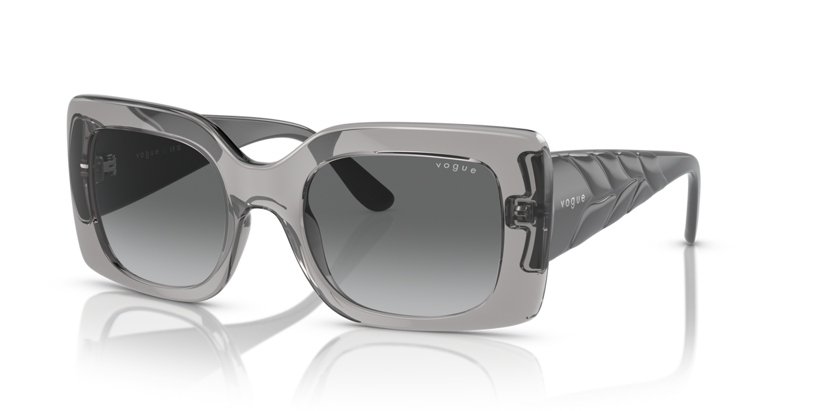 Vogue VO5481S