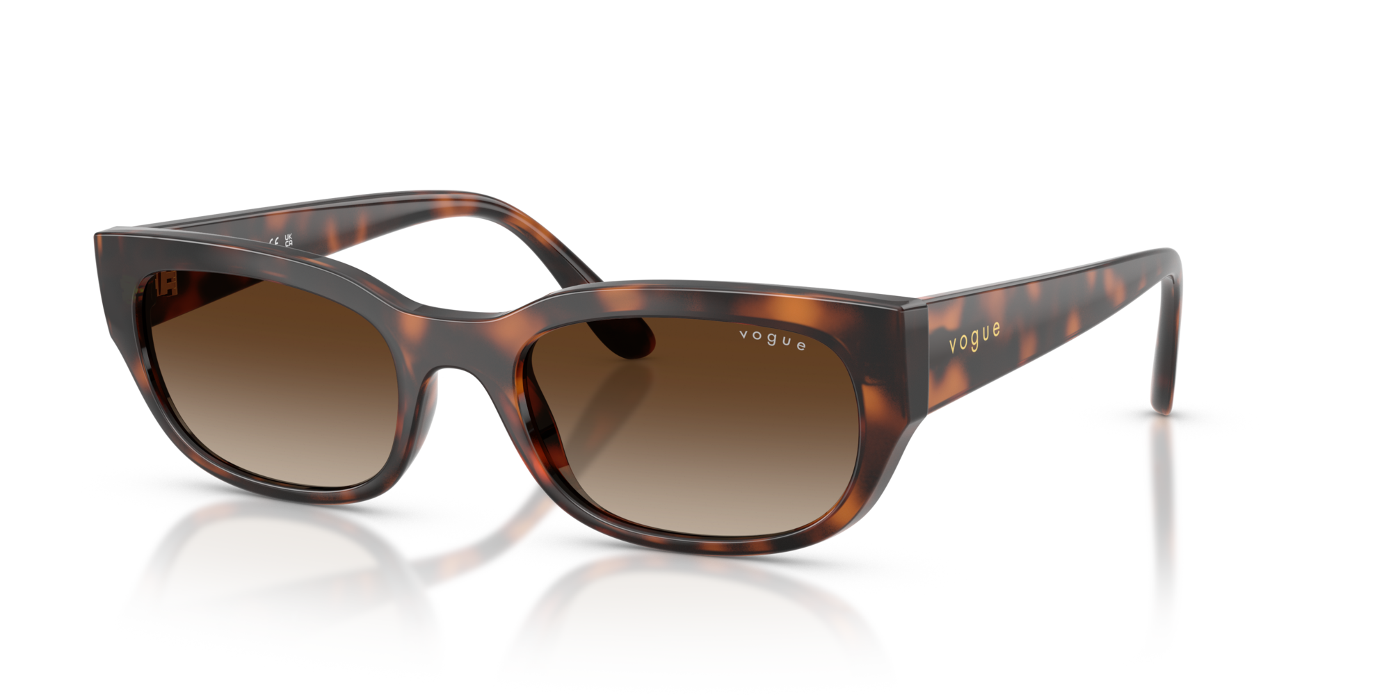 Vogue VO5669S