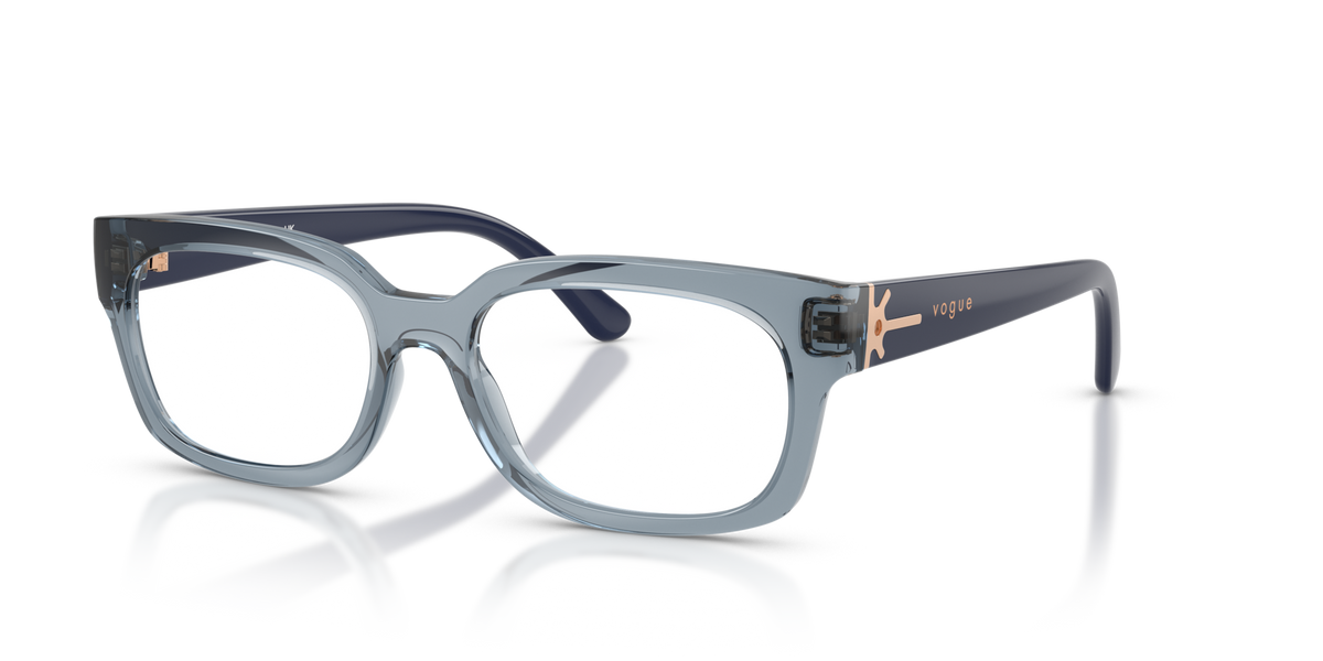 Vogue VO5689
