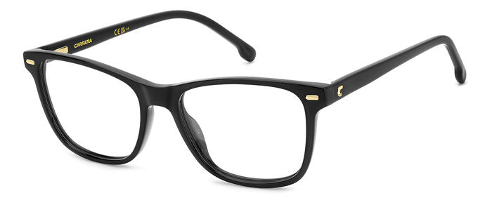 Carrera 3009