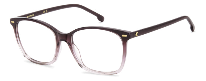 Carrera 3091