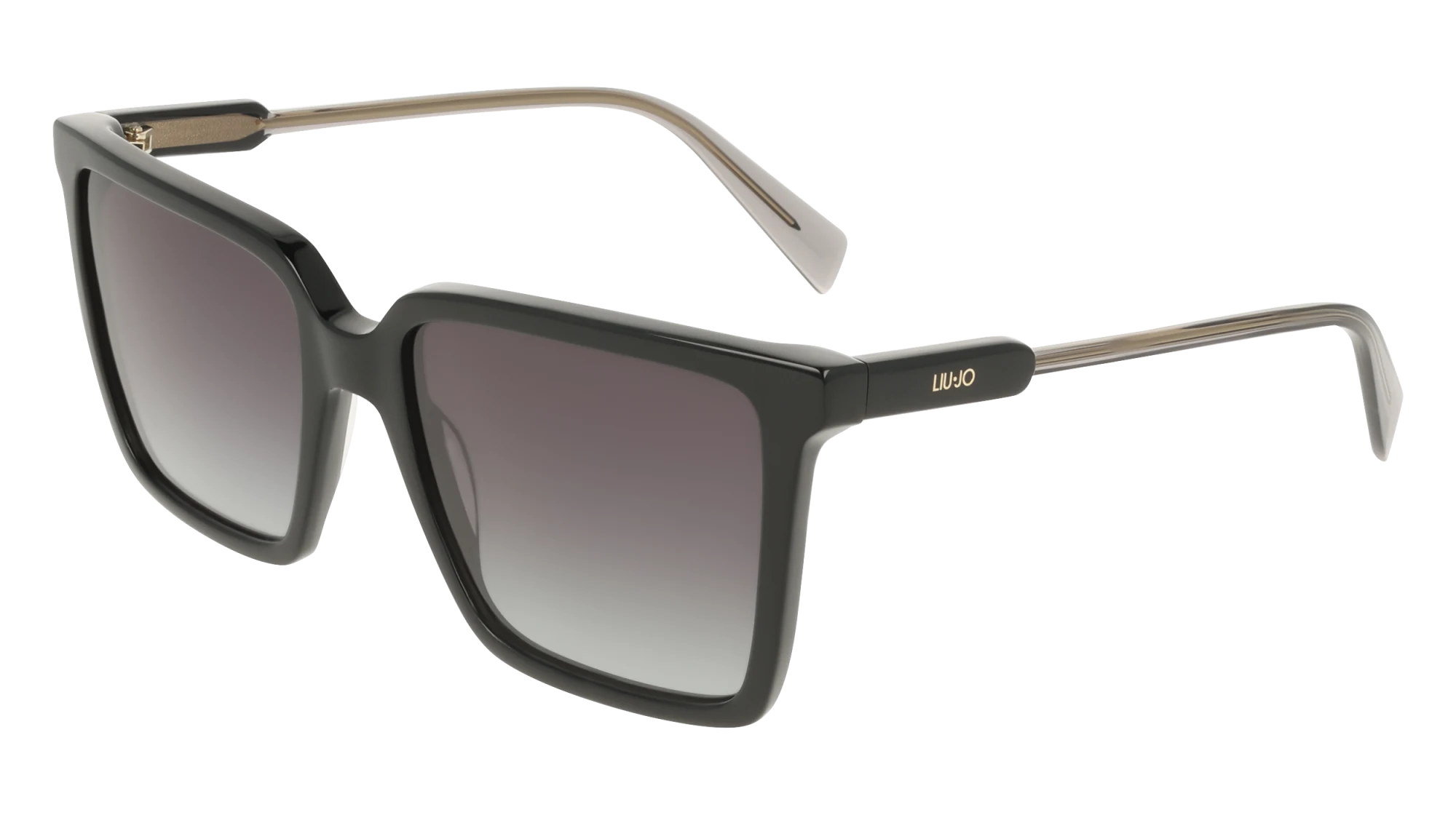 Liu Jo LJ831S